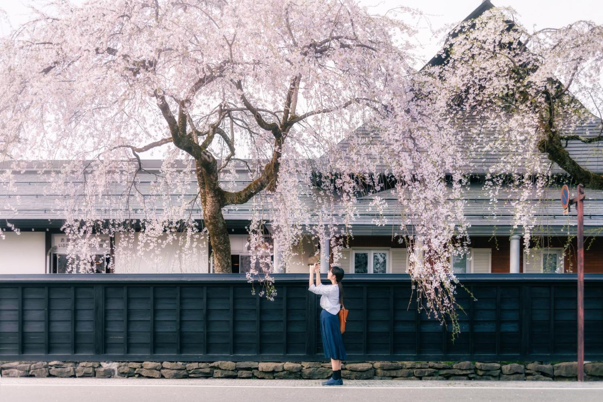 플라자 호텔 산로쿠소 Semboku 외부 사진