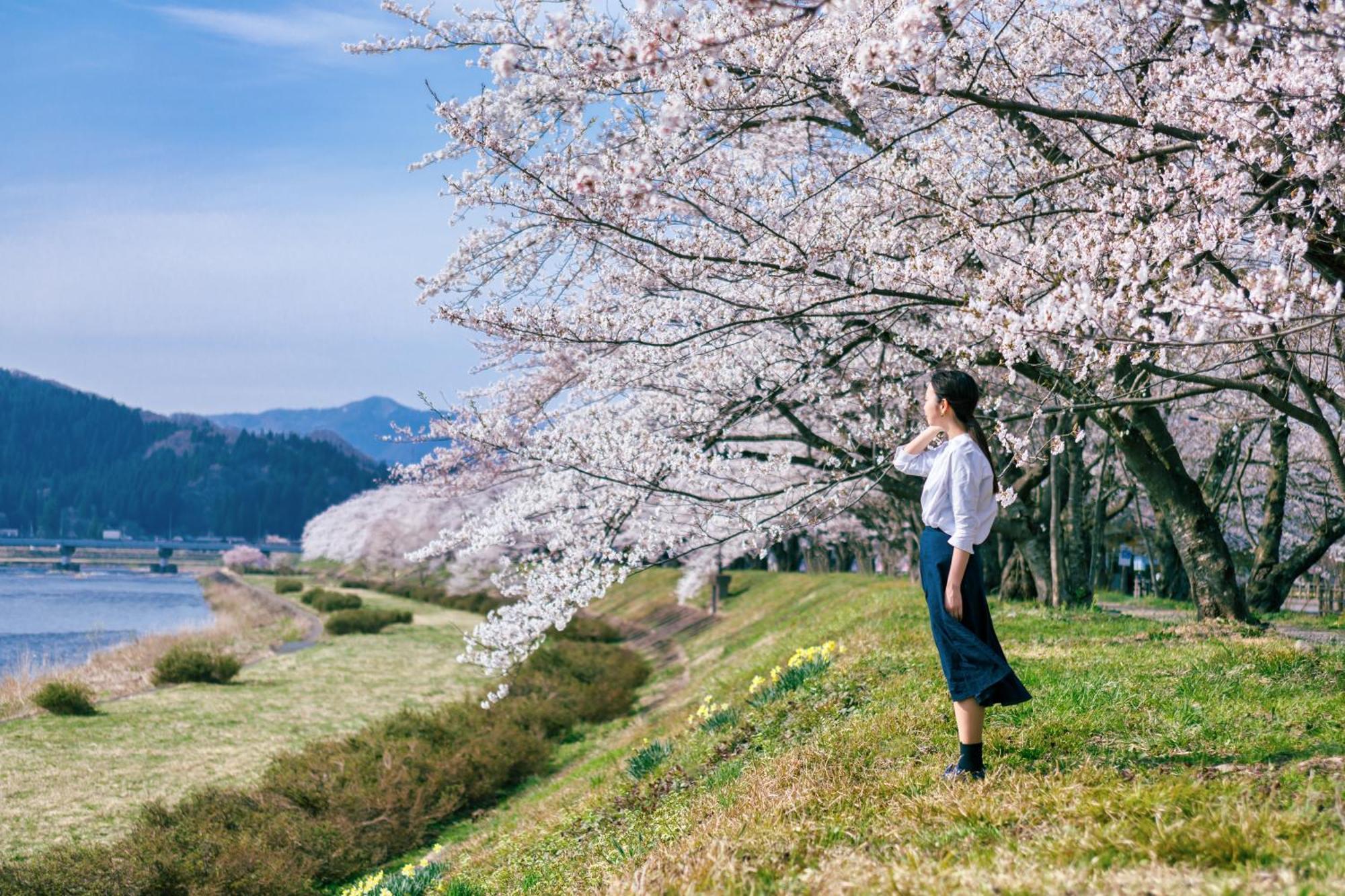 플라자 호텔 산로쿠소 Semboku 외부 사진
