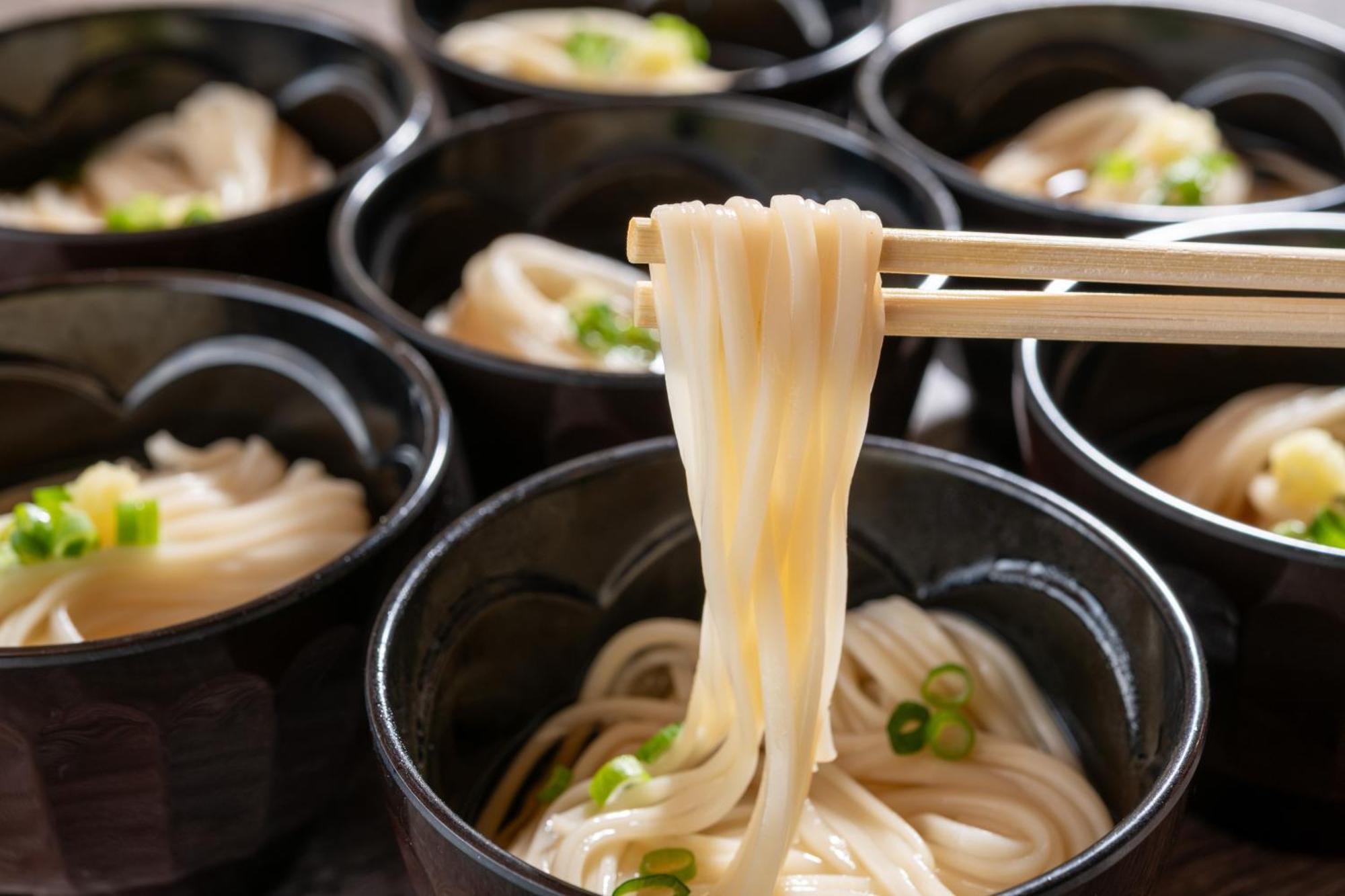 플라자 호텔 산로쿠소 Semboku 외부 사진